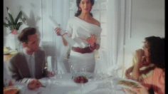 poster-30097-findus-cuisine-legere-la-famille-236x132