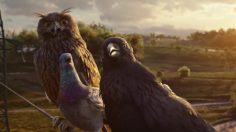 63438_001_preview-236x132