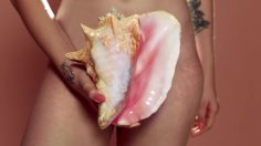 82096_001_preview-236x132