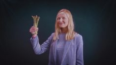 poster-30119-la-ferme-d-anchin-asperge-236x132