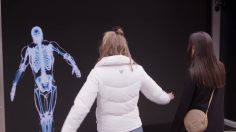 poster-30149-saaq-societe-de-l-assurance-automobile-quebec-stunt-pietons-236x132