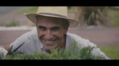 poster-30152-chambre-des-notaires-de-la-gironde-le-buisson-236x132