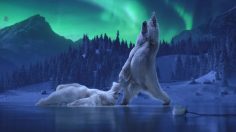 poster-30202-dancing-on-ice-polar-bears-236x132