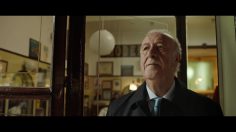 poster-30223-pescanova-pescanova-prawns-236x132