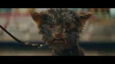 poster-30249-staatsloterij-frekkel-236x132