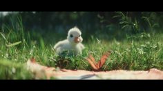 63604_preview-2-236x132