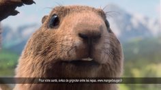 poster-30282-milka-patamilka-la-marmotte-20-ans-plus-tard-236x132