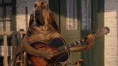 poster-30296-more-than-pet-got-the-blues-236x132