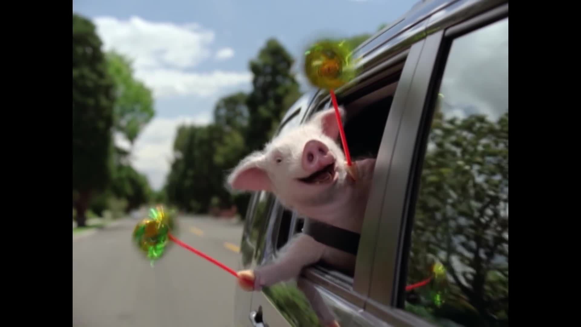 Geico Maxwell The Pig Culture Pub