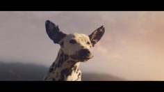 poster-30316-budweiser-wind-never-felt-better-236x132