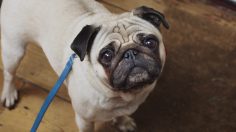 poster-30318-fidelity-investments-stock-and-shares-isas-the-big-day-236x132