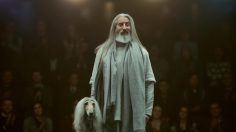 poster-30343-avocados-from-mexico-top-dog-236x132