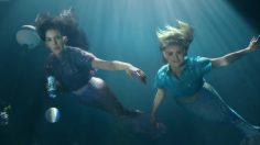 82103_preview-236x132