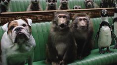 CW-The-Times-2-1-236x132