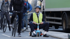 peta-man-baby-culture-pub-236x132