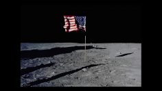 poster-30379-the-washington-post-democracy-dies-in-darkness-236x132