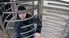 poster-30411-world-animal-protection-your-turn-236x132