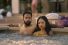 poster-30454-geico-lobster-hot-tub-party-68x45