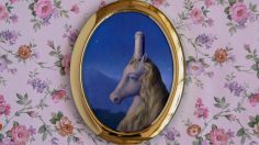 63682_preview-1-236x132