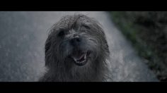 63686_preview-236x132