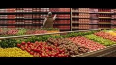 63706_preview-236x132