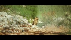 poster-30484-le-bon-coin-warmotte-236x132