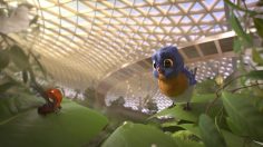 poster-30490-jewel-changi-airport-first-visitors-236x132