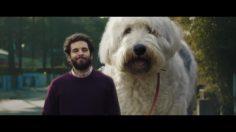 poster-30507-skoda-doug-the-dog-236x132