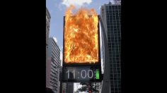 poster-30531-burger-king-burn-that-ad-236x132