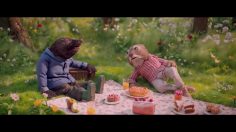 poster-30548-the-wildlife-trusts-protection-environnement-the-wind-in-the-willows-236x132