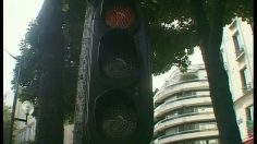 poster-5633-grumly-c-est-vert-236x132