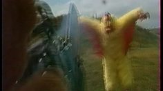 poster-7740-grumly-l-ours-qui-n-aime-pas-les-poulets-236x132