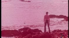 poster-30601-st-raphael-les-amoureux-du-soleil-13-236x132