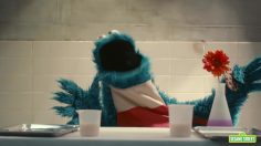 poster-30626-hbo-sesame-street-respect-world-236x132