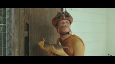 poster-30629-chaindrite-insects-2-236x132