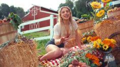 poster-30632-porno-abeilles-et-censure-2019-04-24-236x132