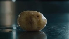 poster-30640-heinz-ketchup-true-love-236x132