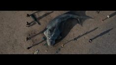 poster-30646-surfers-against-sewage-protection-environnement-the-creature-236x132