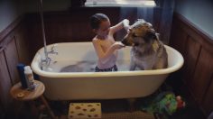 poster-30666-google-nest-hub-max-hepfull-home-236x132