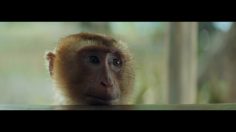 poster-30682-schweppes-agrumes-braquage-sous-les-tropiques-236x132