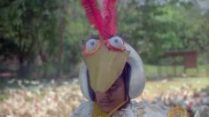 poster-30727-cadbury-s-gems-chicken-236x132