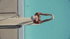 poster-30800-ten-herbs-the-leap-236x132