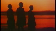 poster-30809-bata-la-danse-tribale-236x132