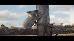 poster-30826-nrma-every-home-is-worth-protecting-236x132