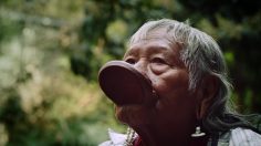 poster-30859-code-of-conscience-raoni-metuktire-236x132