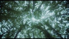 poster-30879-finn-no-stol-236x132