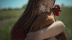 poster-30886-plus-supermarkets-feather-236x132