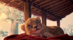 poster-30902-lionceau-rugby-et-loto-2019-09-26-236x132