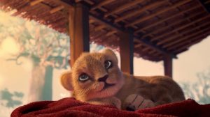 poster-30902-lionceau-rugby-et-loto-2019-09-26-300x168