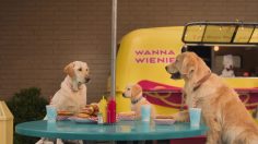 poster-30934-subaru-crosstrek-lunch-stop-236x132